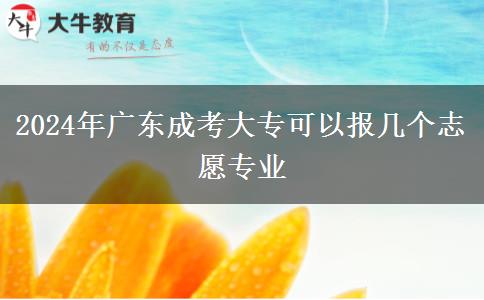 2024年廣東成考大專(zhuān)可以報(bào)幾個(gè)志愿專(zhuān)業(yè)