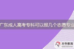 2024年廣東成人高考專科可以報(bào)幾個(gè)志愿專業(yè)