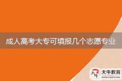 2024年廣東成人高考大?？商顖?bào)幾個(gè)志愿專業(yè)