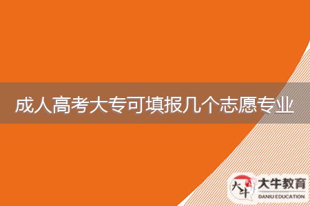 成人高考大?？商顖?bào)幾個(gè)志愿專業(yè)