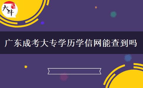 廣東成考大專學歷學信網能查到嗎