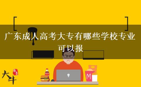 廣東成人高考大專有哪些學(xué)校專業(yè)可以報