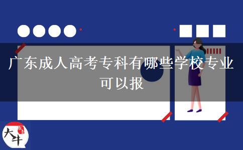 廣東成人高考?？朴心男W(xué)校專業(yè)可以報