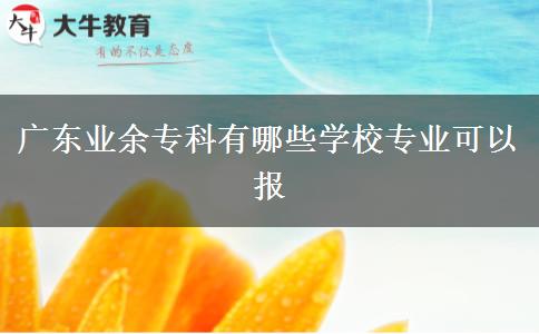 廣東業(yè)余?？朴心男W(xué)校專業(yè)可以報(bào)