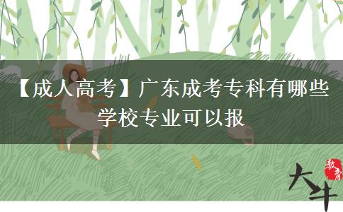 廣東成考專科有哪些學(xué)校專業(yè)可以