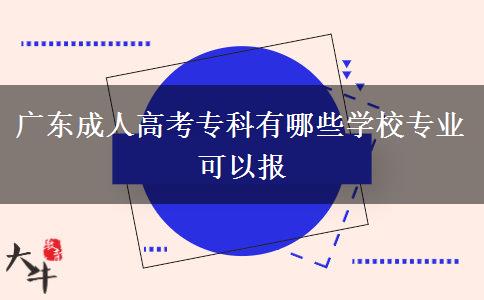 廣東成人高考?？朴心男W(xué)校專業(yè)可以報