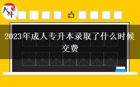 2023年成人專(zhuān)升本錄取了什么時(shí)候交費(fèi)