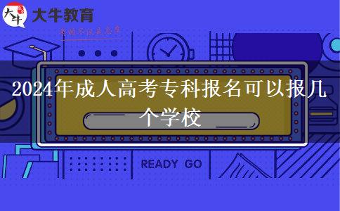 2024年成人高考?？茍?bào)名可以報(bào)幾個(gè)學(xué)校