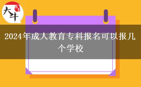 2024年成人教育?？茍?bào)名可以報(bào)幾個(gè)學(xué)校