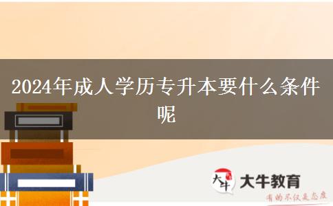 2024年成人學(xué)歷專(zhuān)升本要什么條件呢