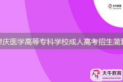 2024年肇慶醫(yī)學(xué)高等?？茖W(xué)校成人高等教育招生簡章