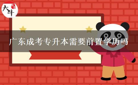 廣東成考專升本需要前置學歷嗎