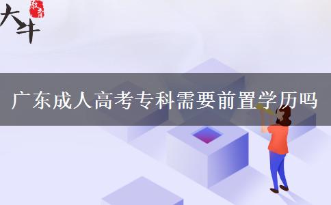 廣東成人高考?？菩枰爸脤W(xué)歷嗎