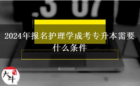 2024年報(bào)名護(hù)理學(xué)成考專升本需要什么條件