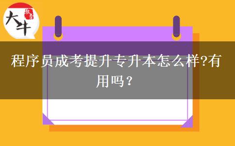 程序員成考提升專升本怎么樣?有用嗎？