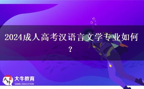 2024成人高考漢語言文學(xué)專業(yè)如何？