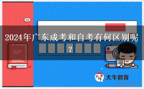 2024年廣東成考和自考有何區(qū)別呢？
