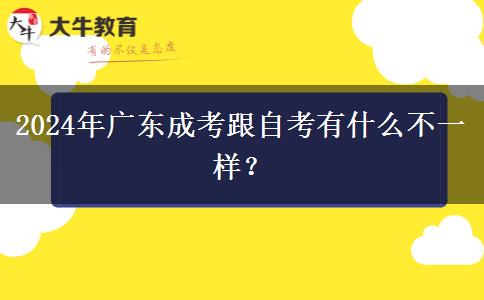 2024年廣東成考跟自考有什么不一樣？