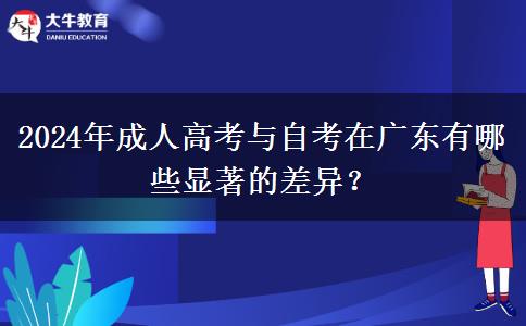 2024年成人高考與自考在廣東有哪些顯著的差異？