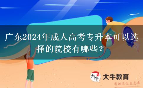 廣東2024年成人高考專(zhuān)升本可以選擇的院校有哪些？