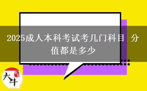 2025成人本科考試考幾門(mén)科目 分值都是多少