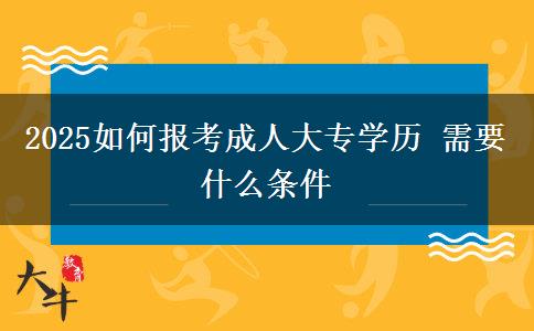 2025如何報(bào)考成人大專(zhuān)學(xué)歷 需要什么條件