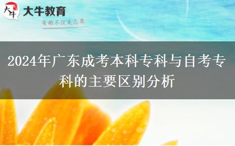 2024年廣東成考本科?？婆c自考?？频闹饕獏^(qū)別分析