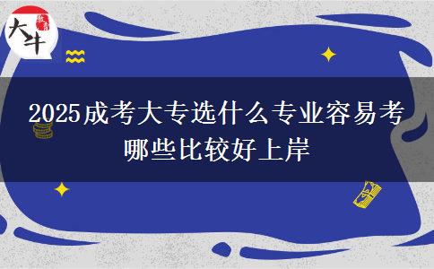 2025成考大專(zhuān)選什么專(zhuān)業(yè)容易考 哪些比較好上岸