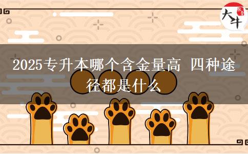2025專(zhuān)升本哪個(gè)含金量高 四種途徑都是什么