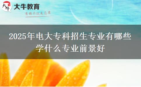 2025年電大?？普猩鷮I(yè)有哪些 學(xué)什么專業(yè)前景好