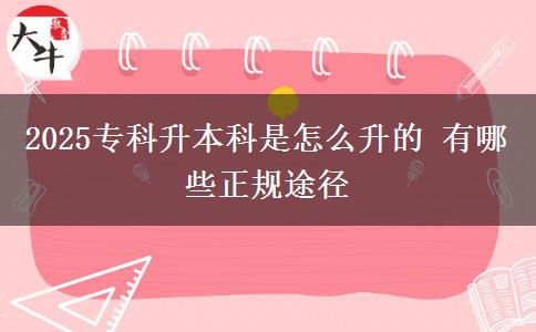 2025?？粕究剖窃趺瓷?有哪些正規(guī)途徑