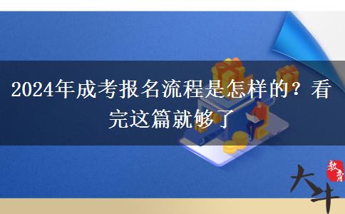 2024年成考報名流程是怎樣的？看完這篇就夠了