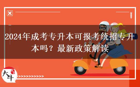 2024年成考專升本可報(bào)考統(tǒng)招專升本嗎？最新政策解讀