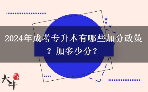 2024年成考專升本有哪些加分政策？加多少分？