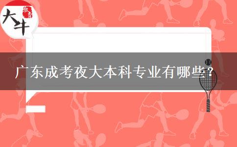 廣東成考夜大本科專業(yè)有哪些？