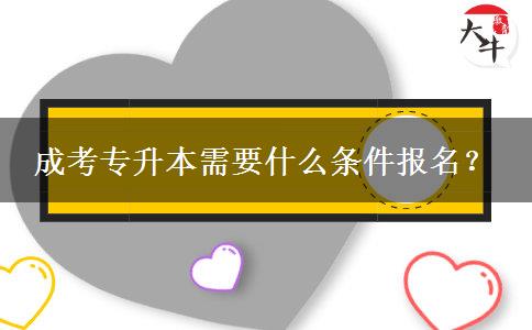成考專升本需要什么條件報(bào)名？