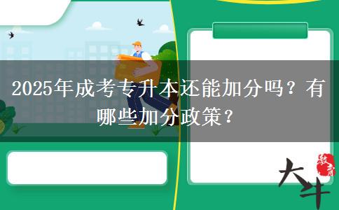 2025年成考專升本還能加分嗎？有哪些加分政策？