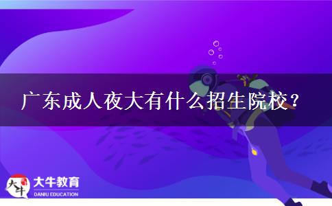 廣東成人夜大有什么招生院校？