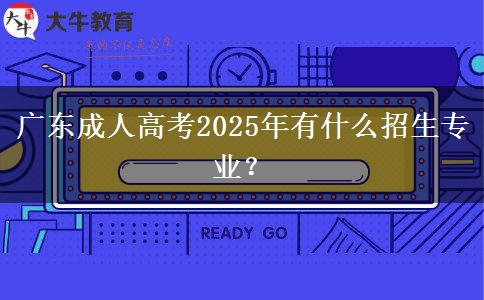 廣東成人高考2025年有什么招生專業(yè)？