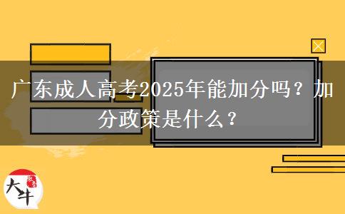 廣東成人高考2025年能加分嗎？加分政策是什么？