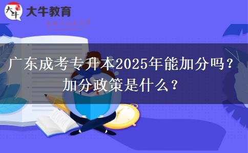 廣東成考專升本2025年能加分嗎？加分政策是什么？