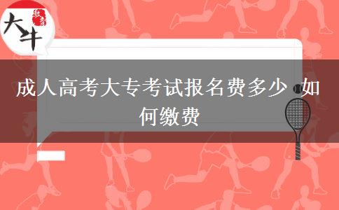 成人高考大?？荚噲竺M多少 如何繳費