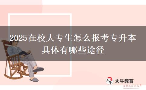 2025在校大專生怎么報考專升本 具體有哪些途徑