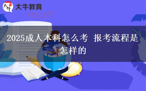 2025成人本科怎么考 報考流程是怎樣的