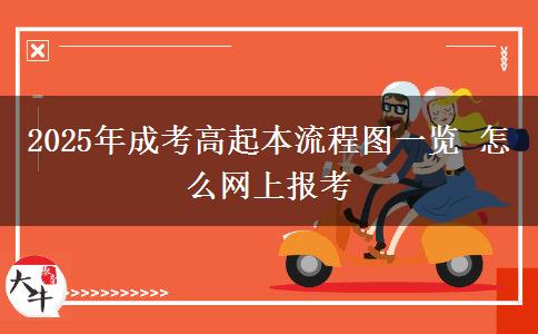 2025年成考高起本流程圖一覽 怎么網(wǎng)上報考