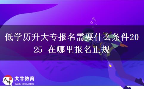 低學歷升大專報名需要什么條件2025 在哪里報名正規(guī)