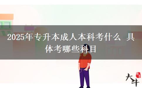 2025年專升本成人本科考什么 具體考哪些科目
