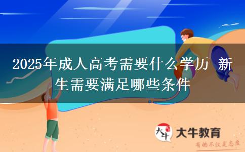 2025年成人高考需要什么學歷 新生需要滿足哪些條件