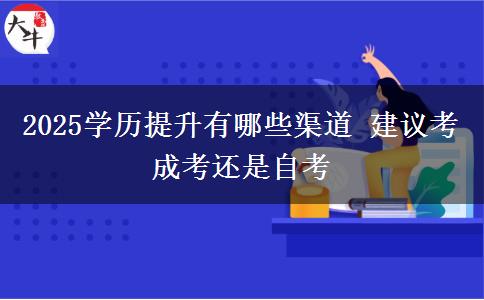 2025學(xué)歷提升有哪些渠道 建議考成考還是自考