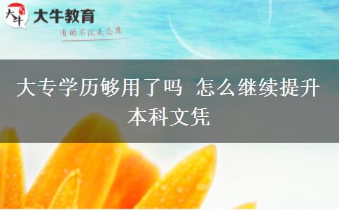 大專學(xué)歷夠用了嗎 怎么繼續(xù)提升本科文憑